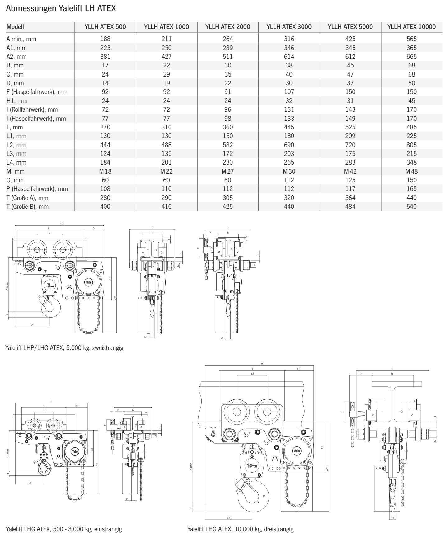 stirnradflaschenzugyaleliftlhgatex_yalecmco_details_01