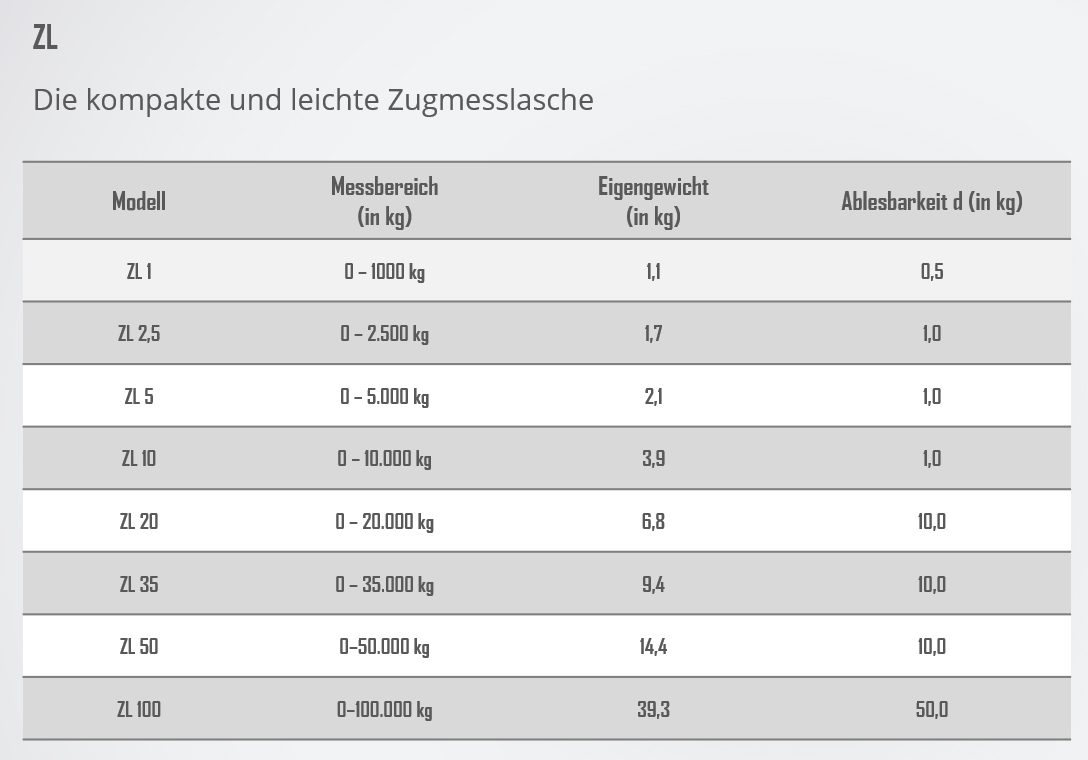 zugmesslaschezl_details4