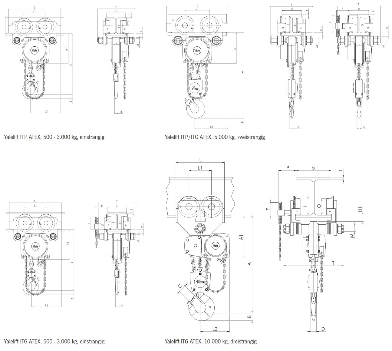stirnradflaschenzugyaleliftitpatex_yalecmco_details_03
